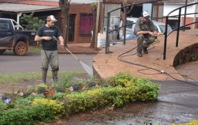 Apóstoles: Mantenimiento de espacios públicos en el Municipio