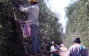 Frenadas: Las economías regionales empezaron el 2023 con el semáforo en rojo, "el 90% está en crisis"