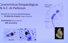 El Mate previene el Parkinson, una enfermedad en aumento en el mundo
