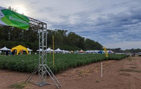 EnBio 2024: ¿Hace falta receta agronómica para recomendar y aplicar biológicos?