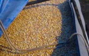 Misiones: En los últimos 15 días la Policía Provincial secuestró más de 540 toneladas de granos ingresados ilegalmente