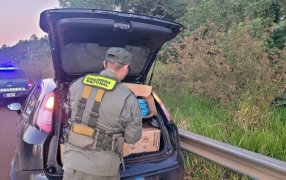 Automóvil con pedido de secuestro evadió control de Gendarmería Nacional: El vehículo, utilizado para el transporte de cigarrillos de contrabando, fue abandonado a varios kilómetros