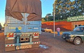 Gendarmería Nacional secuestró más de 270 toneladas de granos