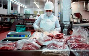 Exportaciones de carne: el Gobierno Nacional distribuyó la Cuota Hilton y busca ampliar el comercio con Japón