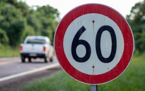 Desde Vida Silvestre recuerdan la importancia de respetar los límites de velocidad