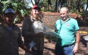 Apóstoles: Nueva Entrega de Alevines a Productores Piscícolas del Municipio