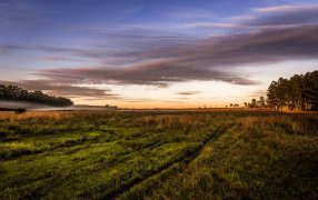 Red de Reservas Privadas: Construyendo un legado de respeto y responsabilidad hacia la naturaleza