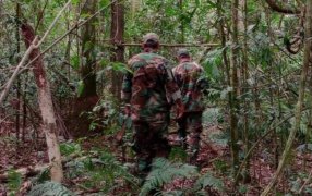 Misiones: Intenso recorrido de Guardaparques en Puerto Península para mitigar la presencia de cazadores furtivos