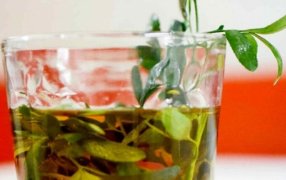 1° de Agosto: Se celebra el Día de la Pachamama y se toma la tradicional caña con ruda