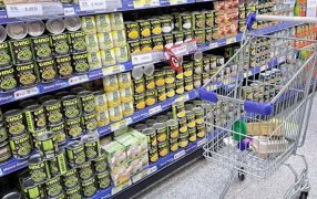 Según estimaciones privadas: Prevén caída del consumo, aunque medidas del Gobierno moderarían impacto