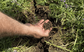 Lanzan una Red de Salud de Suelos, para mitigar el deterioro asociado a la maquinaria agrícola