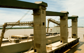 La liquidación de divisas del agro: En 4 meses, ingresaron 2.200 millones de dólares más que el año pasado