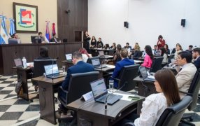 Honorable Concejo Deliberante de Posadas regularía la adopción de animales de compañía