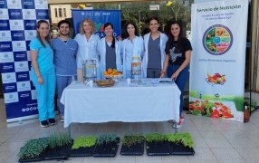 Posadas: El Servicio de Nutrición del Hospital Dr. Ramón Madariaga está promocionando la alimentación saludable y las huertas en el hogar