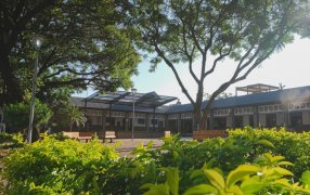 Posadas: 25º Aniversario del Paseo la Terminal, debido a inclemencias del tiempo, la celebración quedó reprogramada para el viernes 22 de Marzo, desde las 19 horas