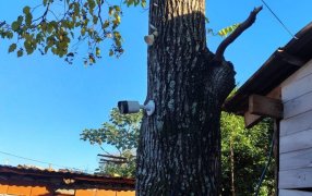 Posadas: La Policía de Misiones desmantela sistema ilegal de videovigilancia usado por bandas criminales para eludir a la fuerza de seguridad