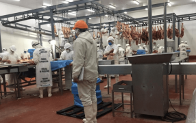 Frigoríficos celebran una medida del SENASA que permitirá fortalecer las exportaciones de carne