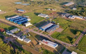 Misiones: Empresas instaladas en el Parque Industrial y de la Innovación de Posadas generan más de 400 empleos