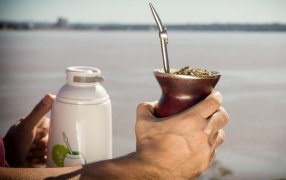 Yerba mate: Las exportaciones marcaron un récord en el primer semestre y las importaciones fueron en descenso