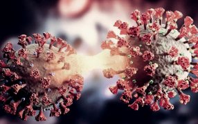 La ONU advirtó sobre la "rápida propagación" de la nueva variante JN.1 de COVID-19