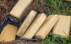 Policías antinarcóticos de Misiones incautaron marihuana oculta preparada para ser trasladada en el Municipio de Garupá