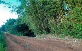 Misiones: Investigan la muerte de un joven de 20 años en el Municipio de Azara, cuyo cuerpo sin vida fue hallado&nbsp;en un canal de agua ubicado en una zona de monte detrás de un barrio