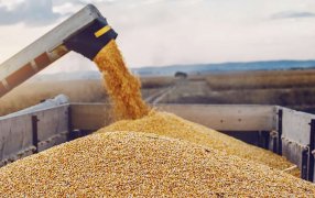 Por la sequía y menores precios internacionales, subió la participación del Estado en la renta de los productores