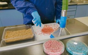 Luz roja para la soja: “Tan alta carga de patógenos fúngicos en semillas no se daba desde hace más de 20 años”