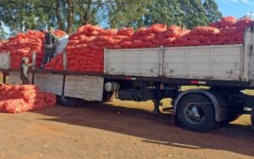 Casi 29 toneladas de cobre se encontraban ocultas en una carga de cebollas, estaban condicionado dentro de bolsones, el metal consistía en cables, bobinados y tubos