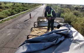 Gendarmería Nacional secuestró 150 toneladas de granos