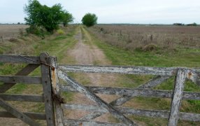 Cómo subdividir un campo y porqué tiene qué hacerlo un matriculado