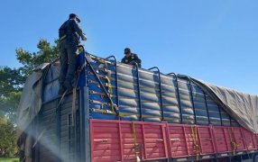 Secuestraron 420 toneladas de granos de soja: Gendarmería Nacional Argentina procedió, que fueron producto de sucesivos procedimientos durante el fin de semana