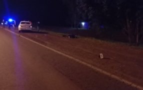 Falleció una mujer de 71 años tras ser embestida cuando intentaba trasponer caminando la Ruta Nacional N° 12