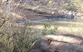 Hallaron el cuerpo de la joven de 25 años que cayó en el Arroyo Once Vueltas del Municipio misionero de Mojón Grande