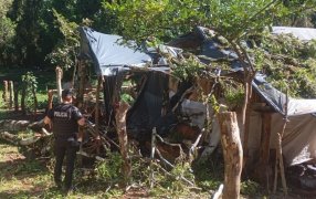 Eldorado: Falleció un hombre tras caer un árbol sobre una casa