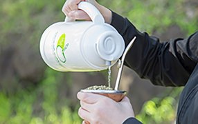 Récord histórico: La yerba mate confirmó su buen momento y el consumo superó los 325 millones de kilos en 2023