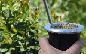 Las ventas de yerba mate sumaron 135,6 millones de kilos al cierre de Mayo