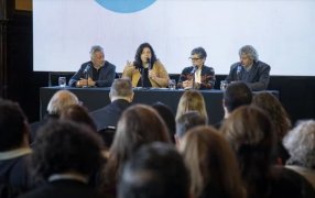 Dirigentes de la oposición criticaron las visitas discrecionales a internados por COVID-19 que permitió la Ministra Carla Vizzotti