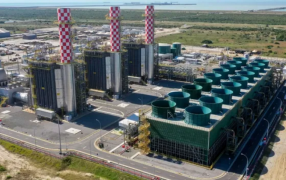 Inversión de 1.196 millones de dólares: Brasil puso en marcha la mayor central térmica a gas natural de América Latina