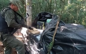 Misiones: Millonaria incautación de estupefacientes en Santiago de Liniers por parte de Gendarmería Nacional