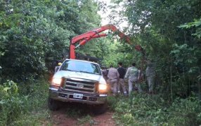 Vandalismo dejó sin energía: Denuncian sabotaje en la línea de 33 KV que dejó sin luz a la ciudad misionera de Puerto Iguazú