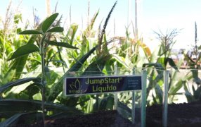 Novozymes y UPL refuerzan su alianza en Expoagro