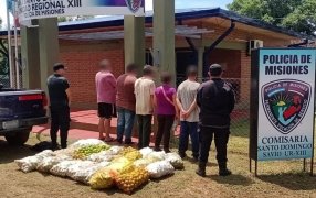 Misiones: Detuvieron a ocho hombres y una mujer por delitos contra la propiedad perpetrados en distintas localidades de la provincia