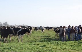 Impacto de la devaluación de Diciembre 2023 sobre los costos de producción de leche