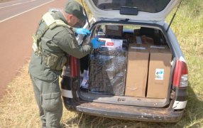 Gendarmería Nacional secuestró más de 35 mil paquetes de cigarrillos: Fueron cuatro procedimientos en la provincia de Misiones, los cuales involucraron vehículos con pedido de secuestro