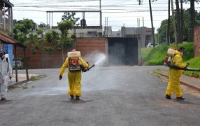 Posadas: Intensifican la lucha contra el Dengue