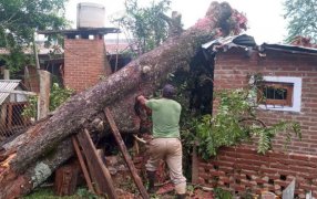 Misiones: Un temporal con ráfagas fuertes afectó al Municipio de Montecarlo, trabajaron para asistir a las afectados, alrededor de 80 familias fueron damnificadas y 40 viviendas con techos dañados, no hubo heridos graves