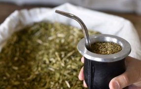 Al cierre del mes de Mayo, el consumo de yerba mate superó los 130 millones de kilos entre mercado interno y exportaciones