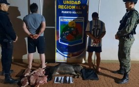 Misiones: En un control la Policía Provicial se detectó que dos individuos transportaban carne faneada de animales autóctonos