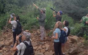 Misiones: Se relevó más de un centenar de aves en el Corredor Turístico Colonia Chapá
